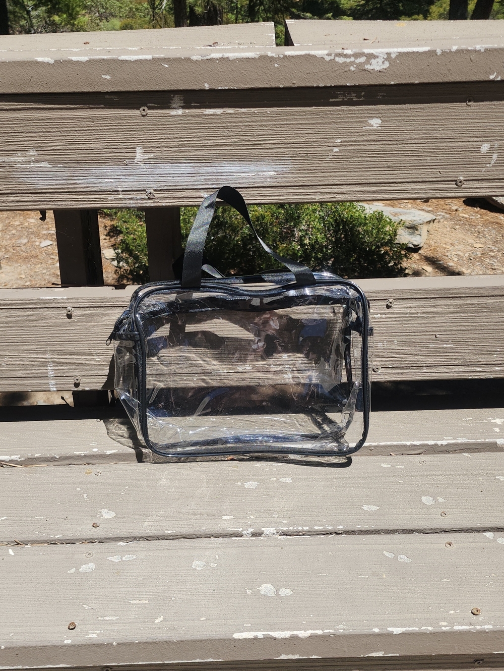 Clear Mini Tote Bag with Black Trim — Compact Transparent Carry